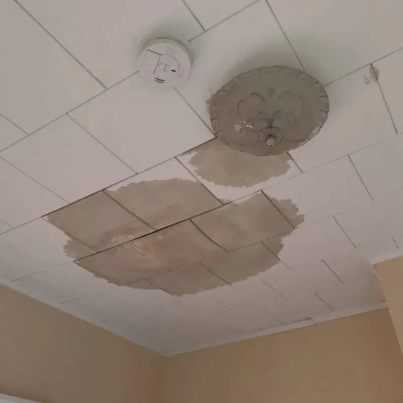 Ceiling Water Damage Repair in Clay County, NE