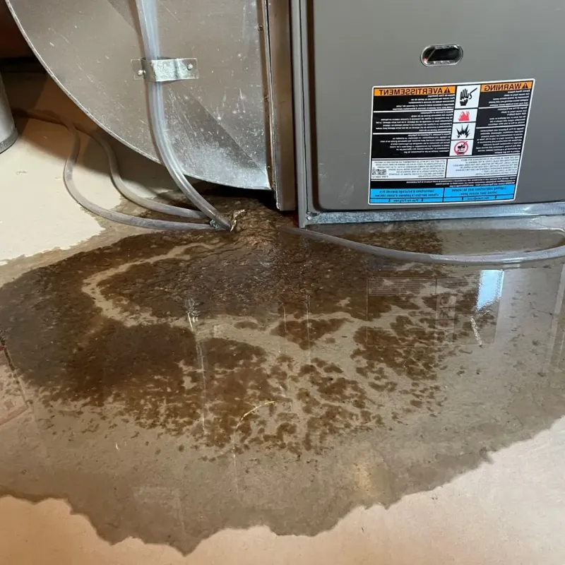 Pipe Burst and Leak Restoration in Clay County, NE